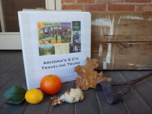 A picture of some of the items included in the Arizona's 5 Cs educational Traveling Trunk (copper, citrus fruit, and cotton).