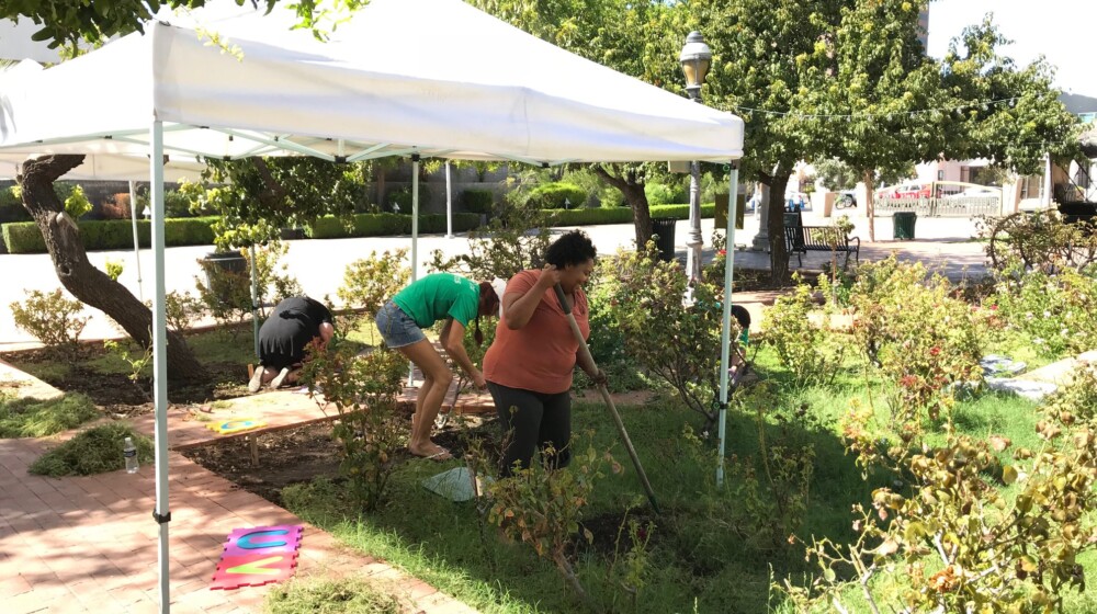 The Square PHX volunteers working in the Memorial Rose Garden.