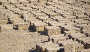 Adobe bricks drying in the sun.