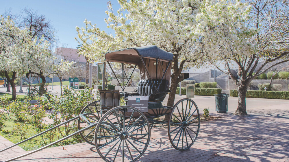 Carriage and flowering pear trees at historic The Square PHX