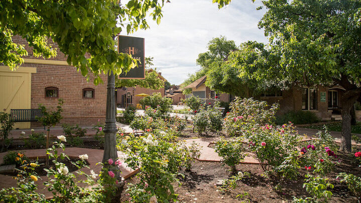 A picture of the The Square PHX Memorial Rose Garden.