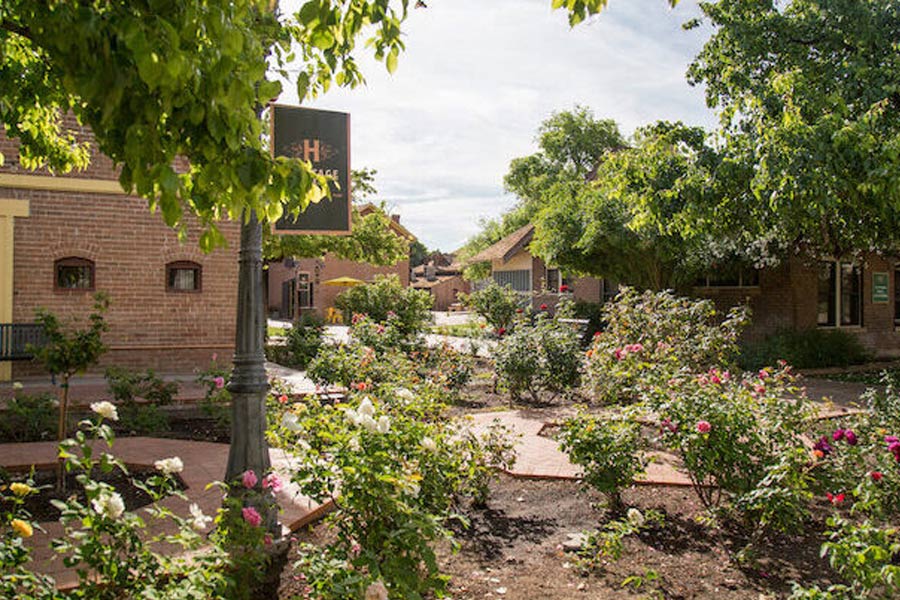 home-cta-memorial-rose-garden